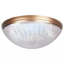 Horoz 400-021-104 Потолочный светильник 