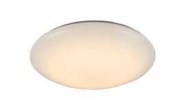 ST Luce SL875.012.01 Настенно-потолочный светильник ,дача,кладовая,офис,кухня,прихожая