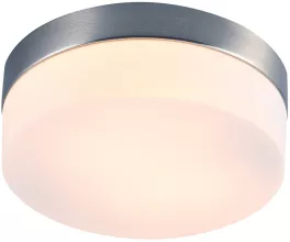 Arte Lamp A6047PL-2SS Потолочный светильник 