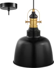 Подвесной светильник Gilwell 49839 купить в Москве