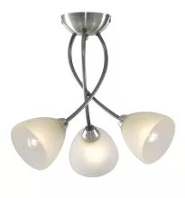 Потолочный светильник Arte Lamp  A2576PL-3SS купить в Москве