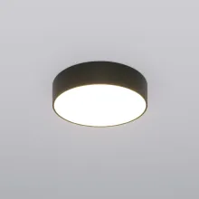 Потолочный светильник Entire 90318/1 черный купить в Москве