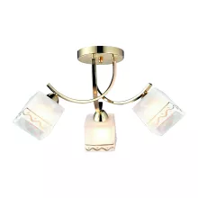 Потолочная люстра Arte Lamp 5 A6119PL-3GO купить в Москве