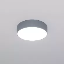 Потолочный светильник Eurosvet Entire 90318/1 серый купить в Москве
