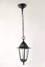 Arte Lamp A1215SO-1BK Подвесной уличный светильник ,беседка,веранда,сад
