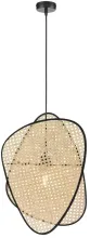 Подвесной светильник Palma WE520.02.716 купить в Москве
