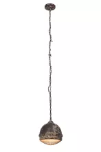 Подвесной светильник Brilliant Priya 93422/06 купить в Москве