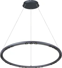 Подвесной светильник Celler 4321-8P купить в Москве