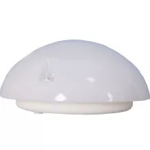 ЭРА НБП 06-60-012 Настенно-потолочный светильник 