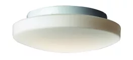 Настенно-потолочный светильник влагозащищенный IP44 ST Luce SL500 SL500.502.01 купить в Москве