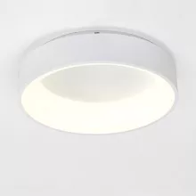 Потолочный светильник Piero V2282-CL купить в Москве