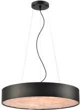 Подвесной светильник Edera WE510.01.723 купить в Москве