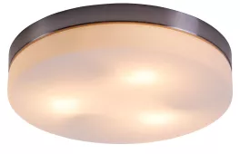 Потолочный светильник Opal 48403 купить в Москве