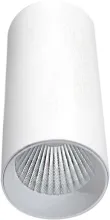 Точечный светильник Rollo DL18895R30N1W купить в Москве