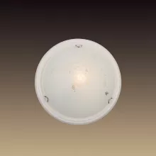 Sonex 101 Настенно-потолочный светильник ,прихожая