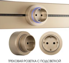 Трековая розетка Am-track-sockets-39 397951TS/ES Gold купить в Москве