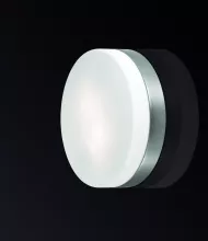 Odeon Light 2405/2C Влагозащищенный настенно-потолочный светильник ,ванная