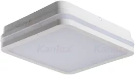 Настенно-потолочный светильник светодиодный Kanlux BENO 33342 купить в Москве