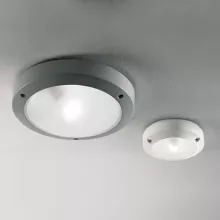 Linea Light 6163 Настенно-потолочный светильник ,кафе,коридор,кухня,прихожая