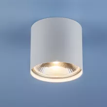 Накладной точечный светильник WH белый Elektrostandard 6872 купить в Москве