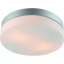 Arte Lamp A3211PL-2SI Влагозащищенный потолочный светильник ,ванная