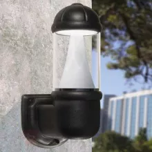 Настенный светильник уличный Sauro D15.505.000.AXC1L купить в Москве