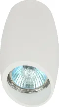 Точечный светильник  OL20 WH купить в Москве