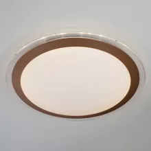 Потолочный светильник Fusion 40003/1 LED матовое золото 42W купить в Москве