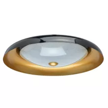 Потолочный светильник Rivz 674016501 купить в Москве