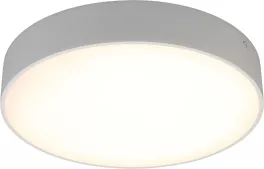 Потолочный светильник Evon APL.0113.09.24 купить в Москве