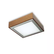 Настенно-потолочный светильник Box M-17017 Brown купить в Москве