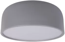 Потолочный светильник Axel 10201/350 Grey купить в Москве