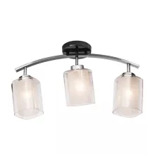Silver Light 254.59.3 Потолочный светильник ,коридор,гостиная,прихожая