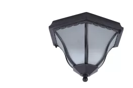 Потолочный светильник Arte Lamp  A1826PF-2BK купить в Москве