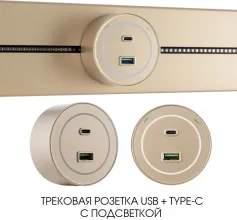 Трековая розетка Am-track-sockets-39 399732TS/USB-Type-C Gold купить в Москве