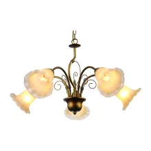 Подвесная люстра Arte Lamp 79 A9361LM-5BR купить в Москве