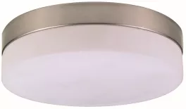 Потолочный светильник Opal 48402 купить в Москве