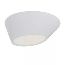 ST Luce SL956.552.01 Потолочный светильник ,коттедж,кухня,прихожая