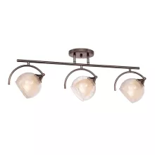 Silver Light 255.59.3 Потолочный светильник ,коридор,гостиная,прихожая