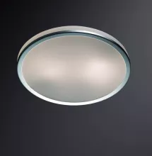 Odeon Light 2177/2C Влагозащищенный настенно-потолочный светильник ,ванная
