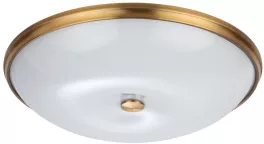 Настенно-потолочный светильник Pelow 4956/6 купить в Москве