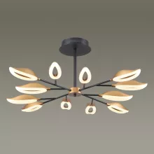 Потолочная люстра Odeon Light Gardena 3903/84CL купить в Москве