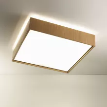 Потолочный светильник QUADRAT QUADRAT 60x60 Ceiling natural купить в Москве