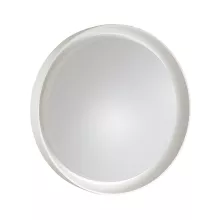 Sonex 3030/DL Настенно-потолочный светильник 