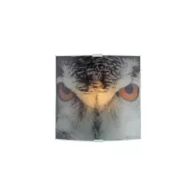 Настенный светильник Owl 105242 купить в Москве
