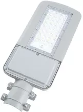 Feron 41549 Уличный консольный светильник 