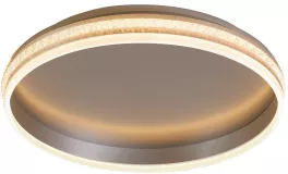 Потолочный светильник Shinning ring 41695 купить в Москве
