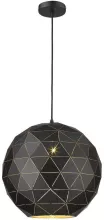 Подвесной светильник Delfio WE261.01.026 купить в Москве