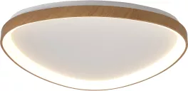 Потолочный светильник Niseko 8059 купить в Москве