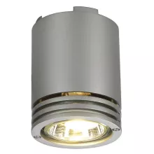 Потолочный светильник Barro 116202 купить в Москве